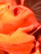 Throat Cut with Razor